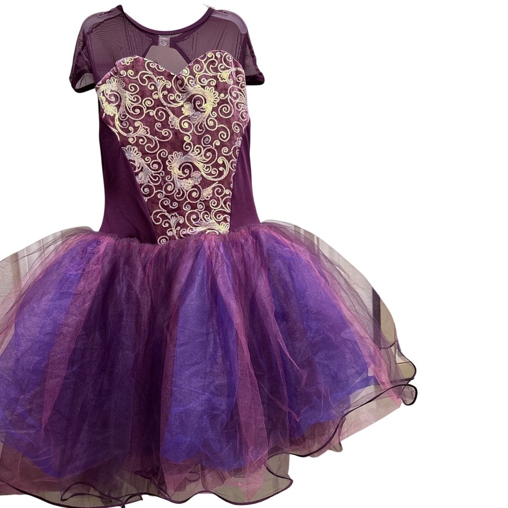 Curtain Call Purple Tutu Dance Costume Gold Embroidered‎ Mesh C440L AXL